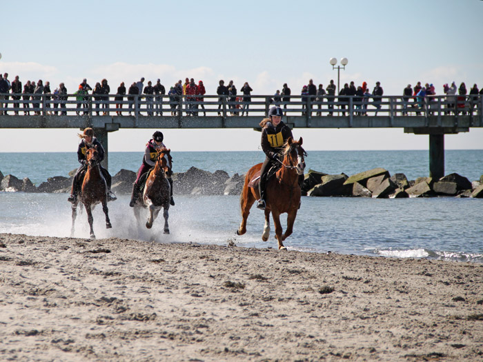 Strand­galopp­rennen